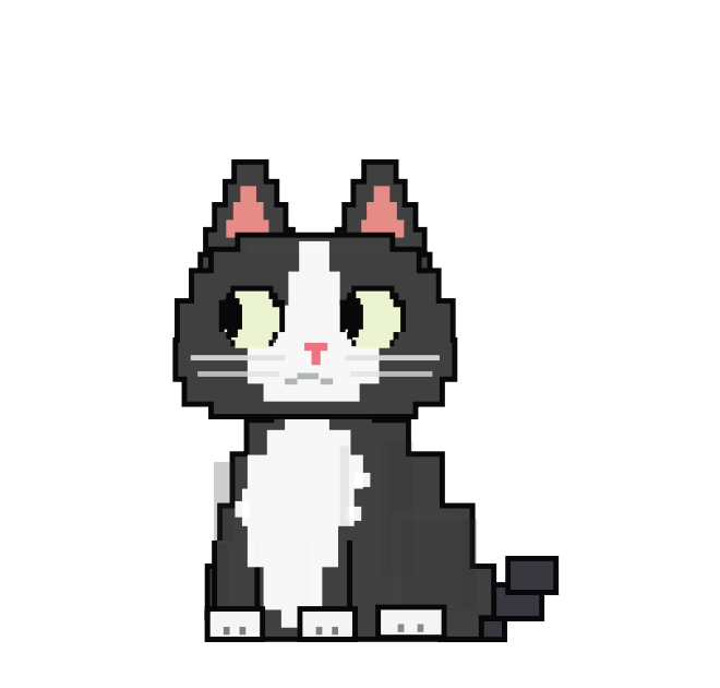Tuxedo Mewie with honey eyes